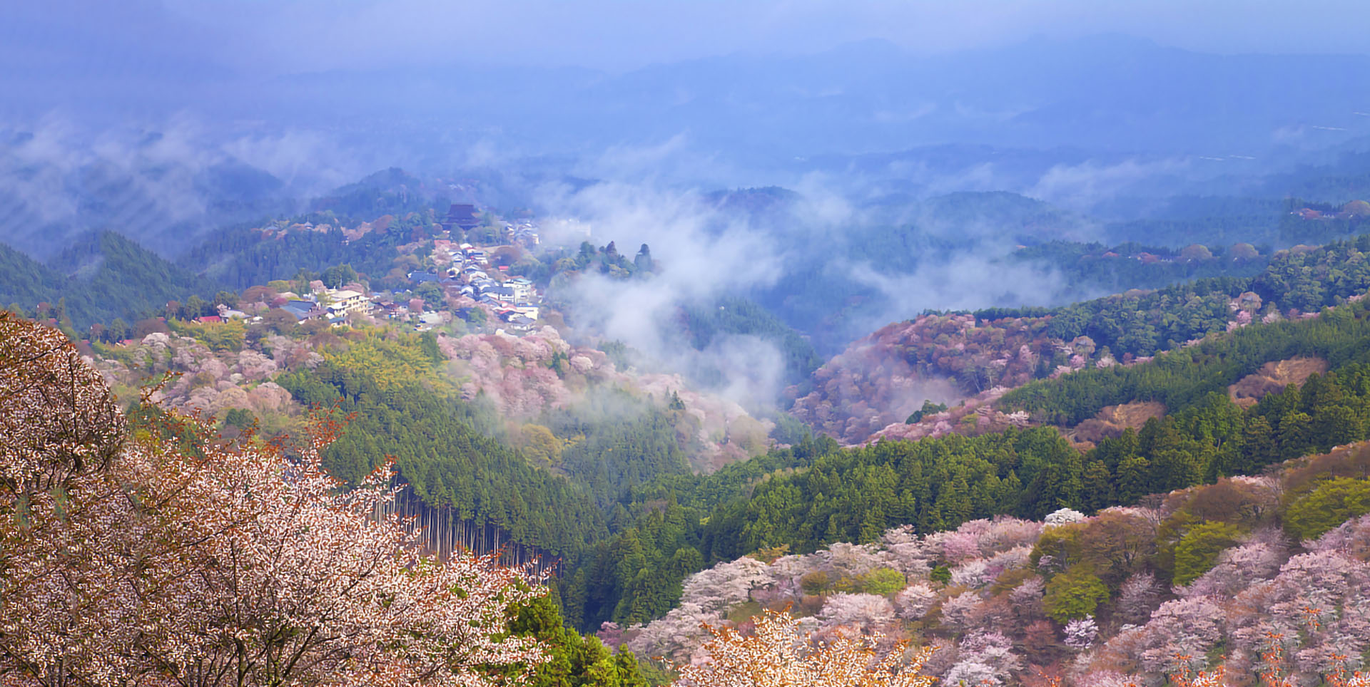 拓展训练场地