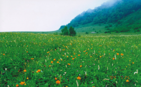 百花山－门头沟3A野外拓展基地- 穿越，露营，篝火